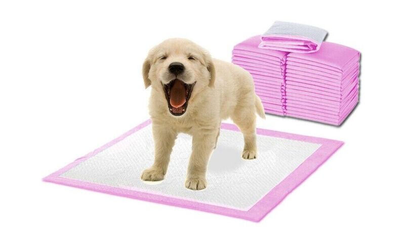 200 Pet Pads for Dogs Ultra-Absorbent Puppy Training Underpad Scented Pink Small