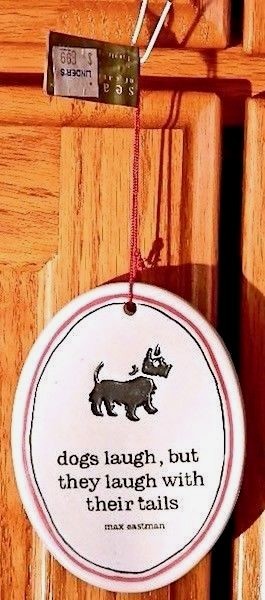 Dogs 
