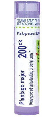 Гранулы Boiron Plantago Major 200CK 80
