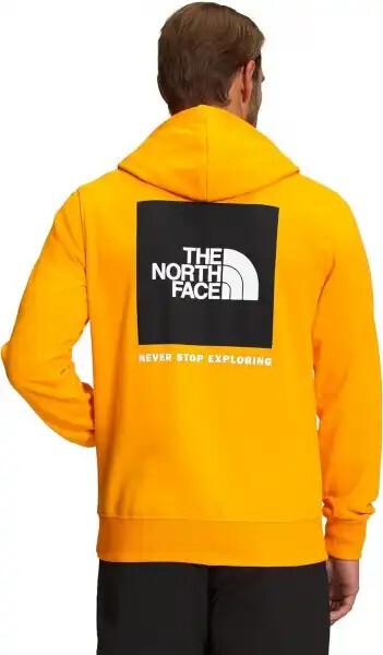 【送料&関税込】The North Face Logoed Sweatshirt The North Face Women Train N Logo Croppod Pullover