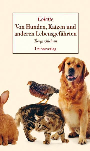 Standardbild