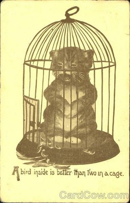 Cats 1912 A Bird Inside Is Better Than Two In A Cage Antique Postcard 1C stamp