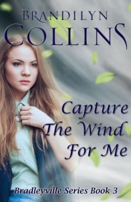 Capture The Wind For Me