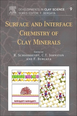 Surface and Interface Chemistry of Clay Minerals, Paperback by Schoonheydt, R...