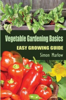 Vegetable Gardening Basics: Easy Growing Guide