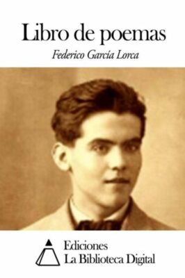 Libro De Poemas