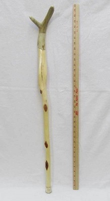 Diamond Willow Cane w/ Deer Antler Handle Horn Sanded Walking Stick Varnished