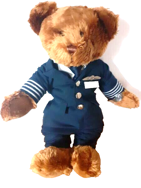 Teddy Bear British Airline Pilot Captain Aviation Airways Personalised NEW eBay