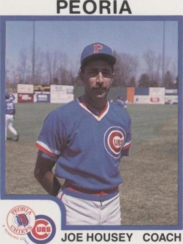 1987 ProCards Minor League - Joe Housey #410