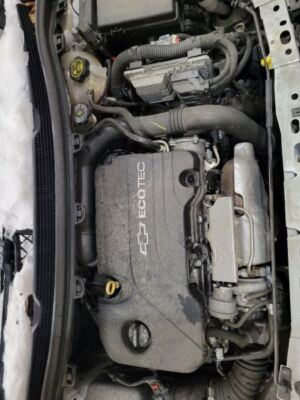 Picture 2