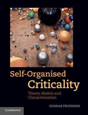 Self-Organised Criticality : Theory, Models and Characterisation, Hardcover b...