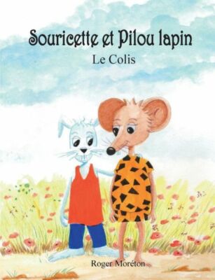 Souricette et Pilou lapin: Le colis
