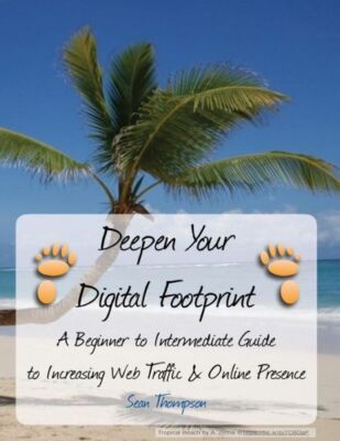 Deepen Your Digital Footprint: A Beginner To Intermediate Guide T... (RePrint)