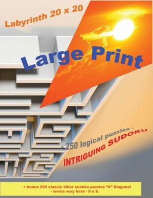 Labyrinth 20 X 20 - 250 Logical Puzzles - Intriguing Sudoku: Large Print + ...