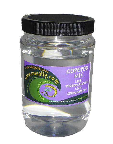 500 Amphipods + Copepods Qt Saltwater Amphipods by RUSALTY Live Fish Food Pods
