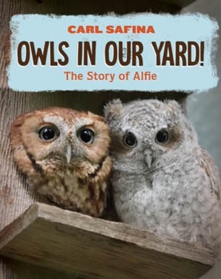 Owls in Our Yard! : The Story of Alfie, Hardcover by Safina, Carl, Brand New,...