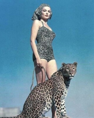 Gene Tierney striking pose in leopard print swimsuit with leopard 4x6 photo