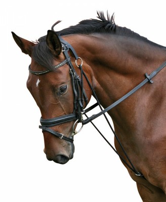 Hilfszügel CHAMBON full BASIC Hilfszügel z.Förderung d. Vorwärts-Abwärts-Dehnung