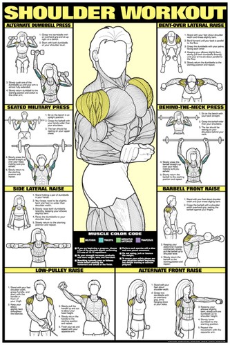 Shoulder Press Weight Chart