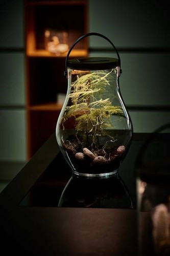 Krinner Lumix Solar Powered Home Decoration Glass LED Display Jar, Bold, 13.5"