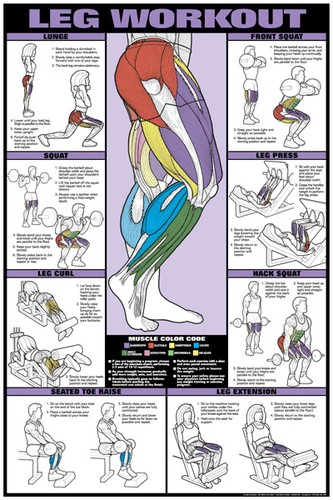 Leg weight lifting sale