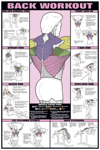 Gym Wall Chart