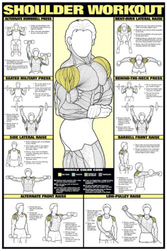 Gym Wall Chart