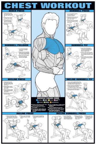 Bodybuilding Chest Exercises Chart