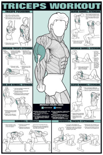 Fitness Weight Chart