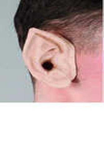 Lord of the Rings Movie Elf Ears Licensed Costume Legolas Tips Arwen Hobbit