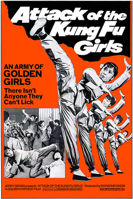 Attack Of The Kung Fu Girls - 1973 - Movie Poster