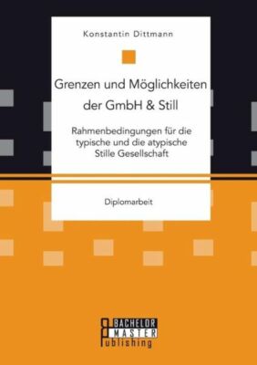 Grenzen Und M?Glichkeiten Der Gmbh & Still: Rahmenbedingungen F?R Die Typis...