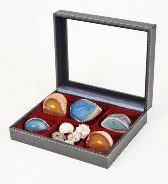 Lindner 2369-2462e Sammelkassette Nera Varius Plus Mit Dunkelrotem Bodeneinsatz 