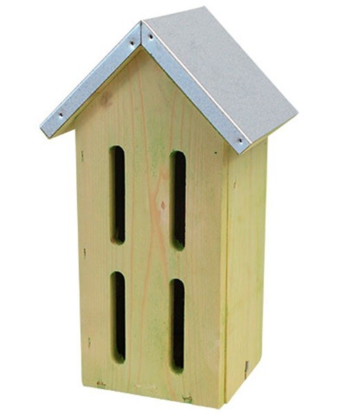 Classic Butterfly House