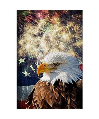 American Bald Eagle USA Flag 4th of July Fireworks Independence Day Journal Note