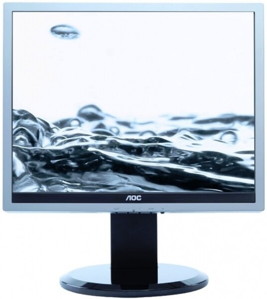 TFT AOC 919P2 19 Zoll Monitor Pivo silber/schwarz