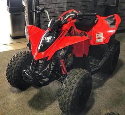 2019 Can-Am® DS 90™