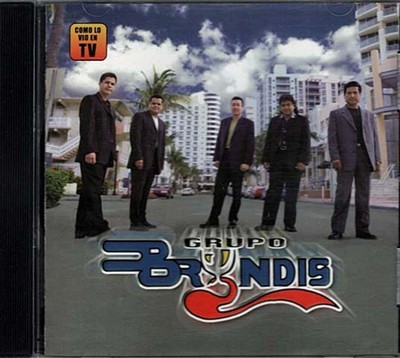 En El Idioma Del Amor ~ Grupo Bryndis ~ Latin ~ CD ~ Good