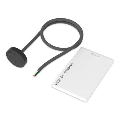 Teltonika: 1-Wire RFID Reader and RFID card (PRIEDASKIR)