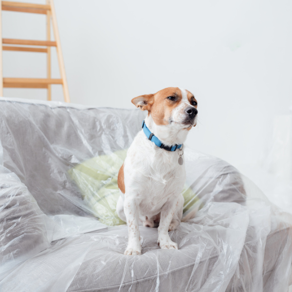 Farm Plastic Supply - Poly Cover Clear Polyethylene Plastic Sheeting