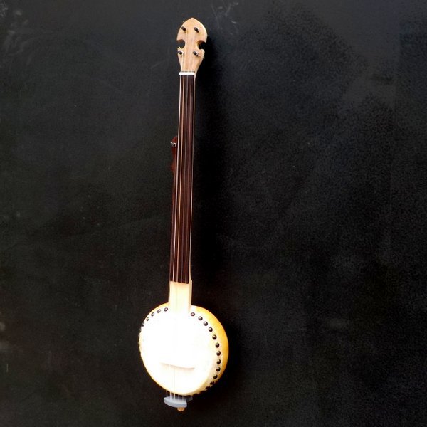 New Barry Sholder Gourd 5 string fretless Banjo #324 Hotrod