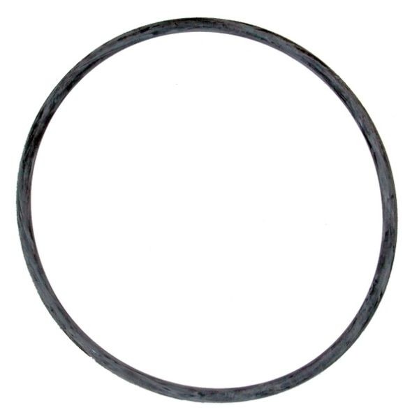 Tetra Dichtungsring O-Ring EX 600/800 Plus