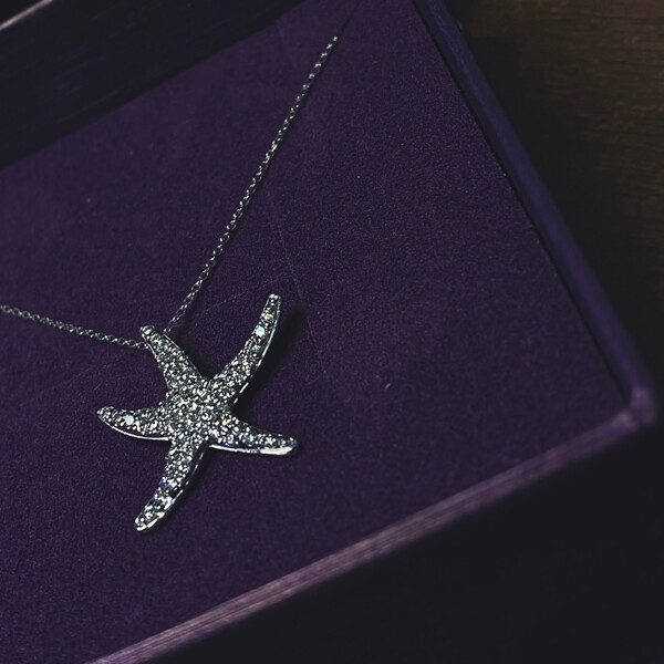 Pre-owned Morris 0.55 Carat Natural Diamond Starfish Necklace Pendant 14k White Gold 18'' Chain