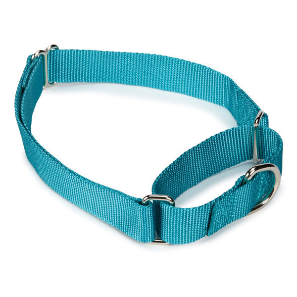 ️ Bulk Martingale Dog Collars Shelter Rescue Litter Pick Size Quantity