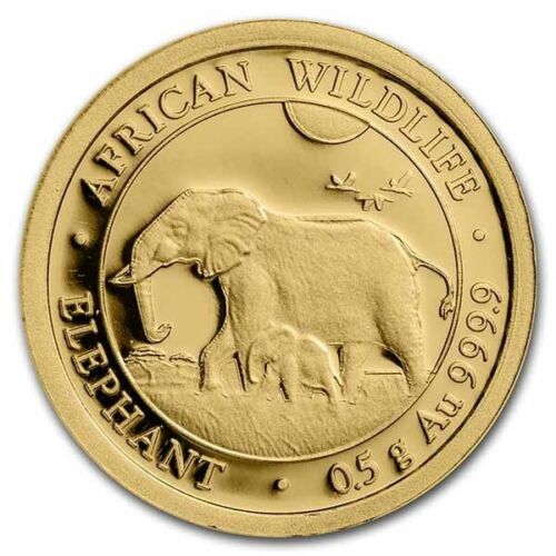 2022 1/2 gram Gold 9999 pure Somali Elephant 20 Shillings Somalian Africa coin