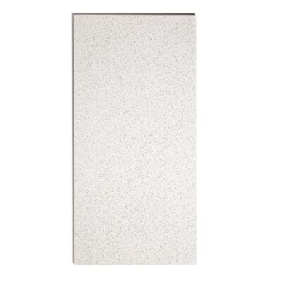 2 ft. x 4 ft.Basic White Square Edge Lay-In Ceiling Tile (Case of 8/64 sq. ft)