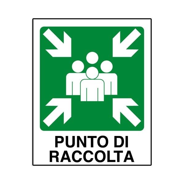 Cartello Segnaletico Punto Di Raccolta 30x20Cm In Pvc Targa dfh