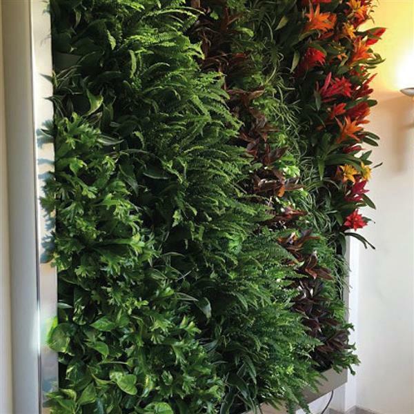 Vertikaler Garten WONDERWALL Pflanzenwand innen Selbstbewässernde Grüne