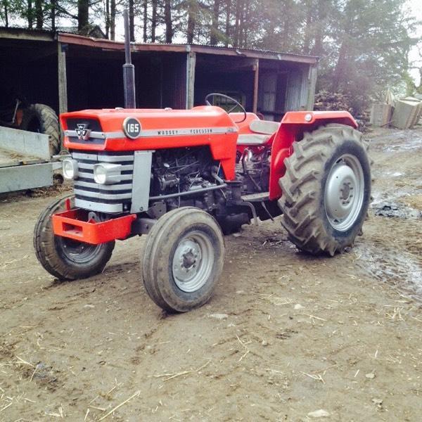 MF 165 tractor in Keith, Moray Gumtree