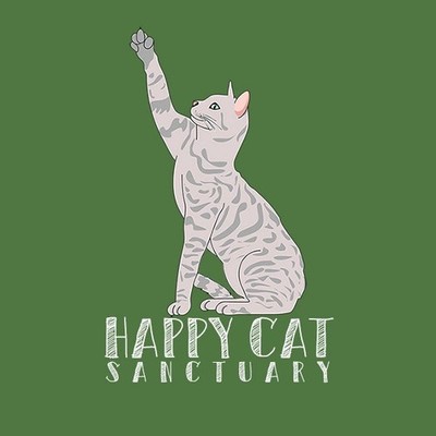 happyy cat Inc